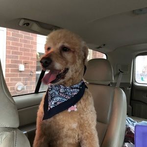 Meet your Posher, Catharina